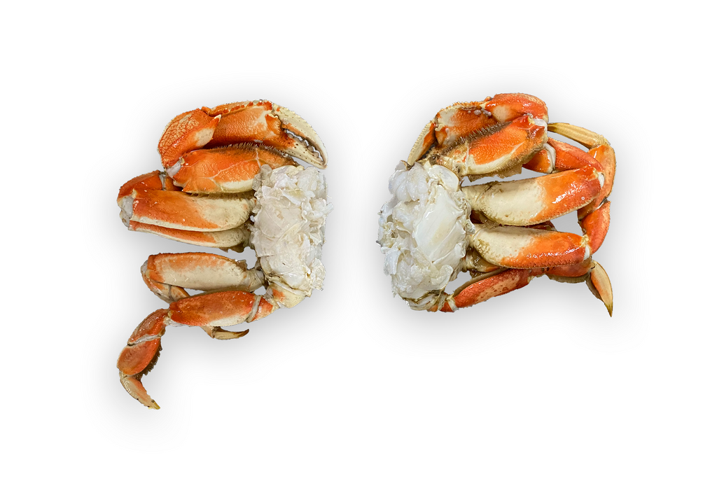 Seafood Pacific Dream Seafoods 